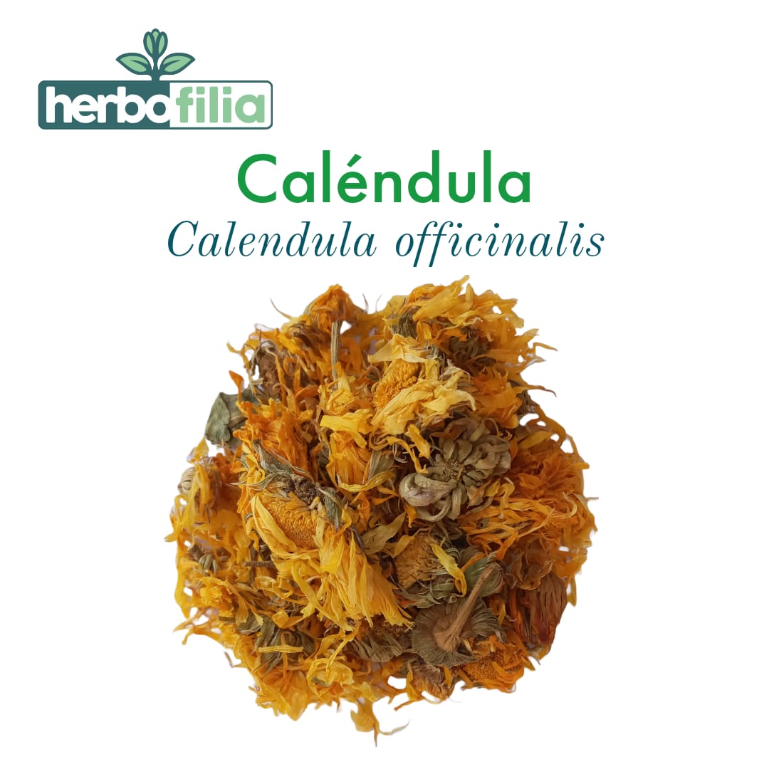 Flores de Caléndula/Mercadela – Calendula officinalis de primera calidad |  Herbofilia