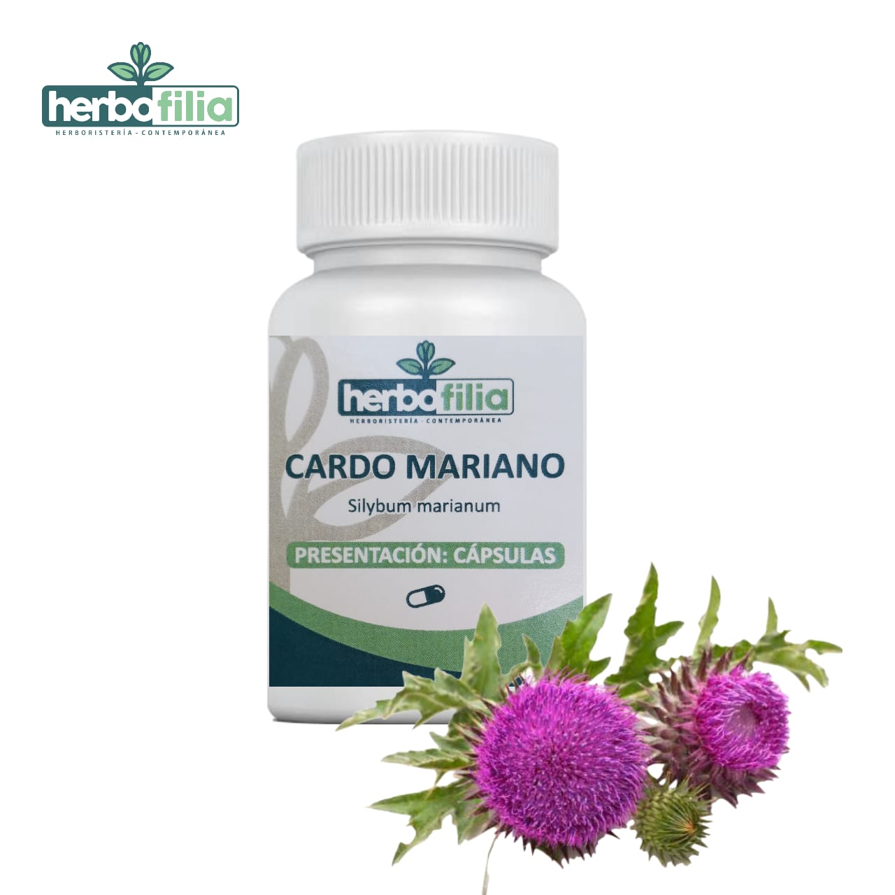 60 cápsulas de semillas de Cardo Mariano (Silybum marianum)